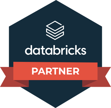 Databricks Partner